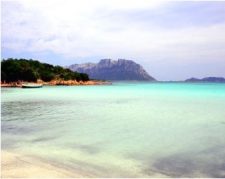  Excursions by boat Tavolara 